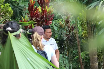 Image de Unique ecolodge in the Amazon Rainforest - Connect with nature near Tena