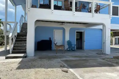 Image de Big Pine Key House 4/2 with 75’ dock and a stunning bay view.