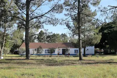 Image de A Casa do Pinheiro tem uma Área de 5. 000m2 com Piscina