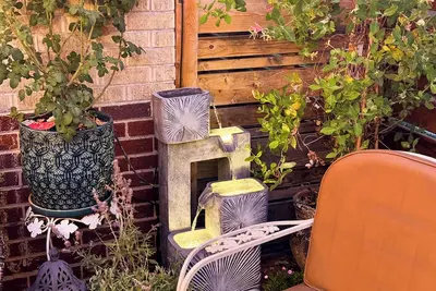 Steps from Sloan’s Lake Dog Friendly Space