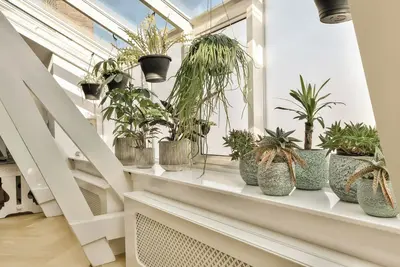 Image de The Penthouse in the city centre of Zandvoort