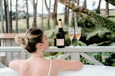 Image de Welcome to the private, rural experience of Willow Lodge, north of Auckland.