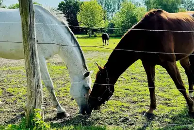 Image de Rügen in Ländlicher Gegend Abseits der Touristen Gebiete