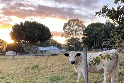 Image de Byron Bay Hinterland Farmhouse & Salty Lap Pool