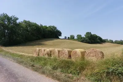 Image de Les Gites de Campardon - Les Orchidées