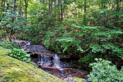 Image de Creekside, spacious home for 8; 9 mi. Highlands, close Sky Valley, Ga