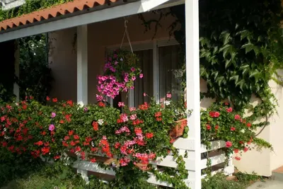 Image de Appartements Tanya (94146-A2) - Banjol - île de Rab