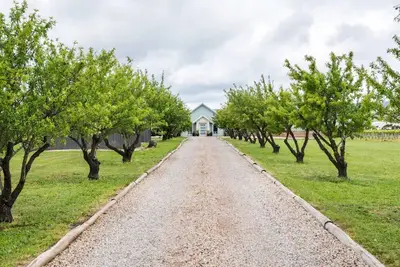 Image de Pethick House: Estate amongst the vineyards