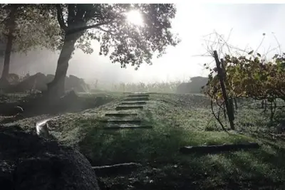 Image de Cozy rural retreat with vineyards just 2. 5 km from heritage city of Guimarães