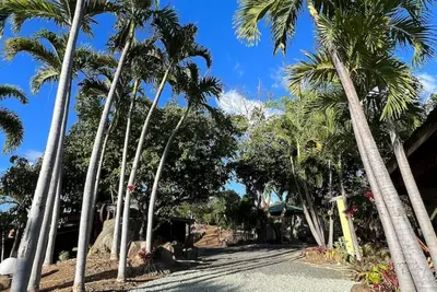 Image de Nature's Peaceful Estate, 4 Villa w\/ Private Pool