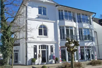 Image de Silex de la Villa Saxonia