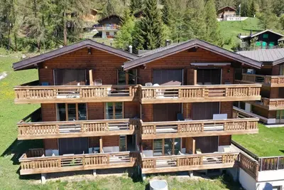 Image de Appartement de vacances Bellwald pour 1 - 8 personnes avec 2 chambres à coucher - Appartement de vac