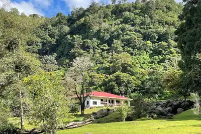 Image de Experience the spectacular natural beauty and tranquility of The Emerald Forest