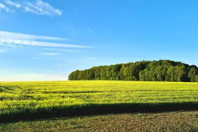 Image de Wohnen am Jungen Wald