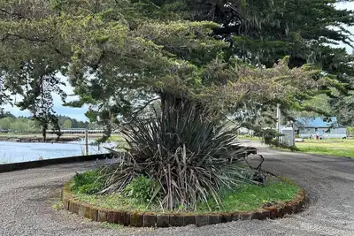 Image de Historical Ghost Forest
