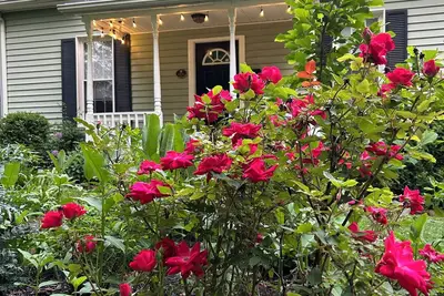 Image de Tranquil Tree Streets Historic Cottage 3br