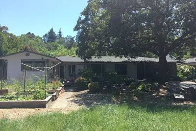Image de Comfortable home walking distance to central Lafayette, Ca.