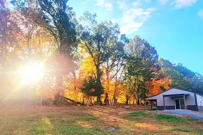 Image de Meadow Wood Cottage  Peaceful, Relaxing Luxury in the Country