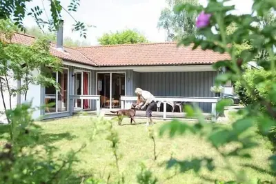 Image de Reiher 24 - GemĂĽtlicher Ferienbungalow fĂĽr 4 Personen mit Eigener Sauna