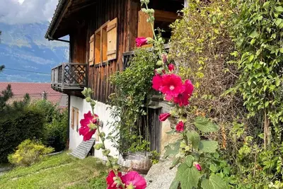 Image de Appartement Ulva