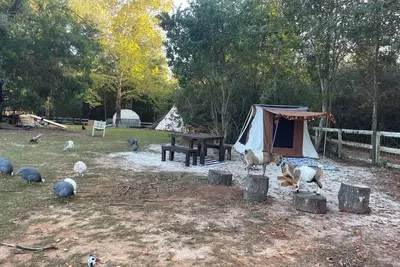 Image de Holt’s Hideaway Glamp Farmstay