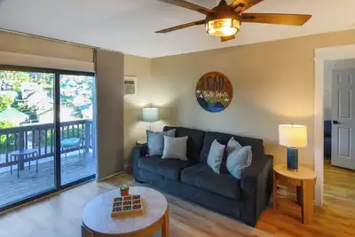 Black Hills Bliss: Fully Remodeled Modern Condo