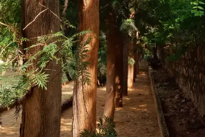 Image de The Raghav - Villa\/Farmhouse Getaway amidst Nature