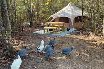 Image de The Big Top Lg group Glamp Farmstay