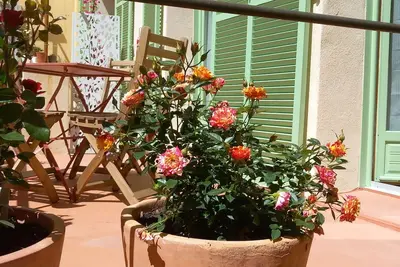 Image de Maison de Pêcheurs au Cœur du Cros de Cagnes