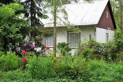 Image de Vacation home for 4 guests with 34m² in Friedland (183174)
