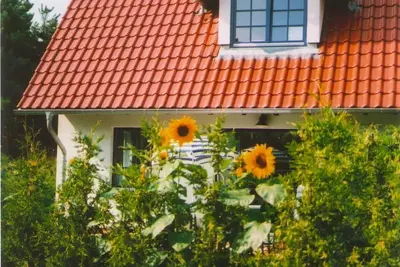Image de Small vacation apartment in Zingst