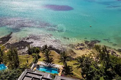 Image de Appartement - Pieds dans l'eau : plage privée & snorkeling