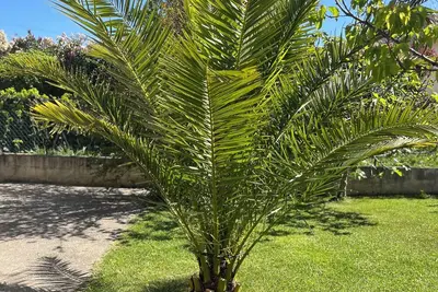 Image de Villa climatisé