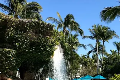 Image de Florida Hyatt Coconut Cove resort \n2 Bedroom