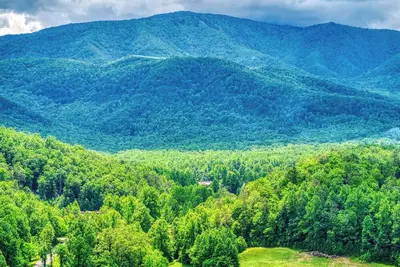 Image de Stary Night- Pickleball Court, Creek, Wifi, Mountain Views, Starting at $69