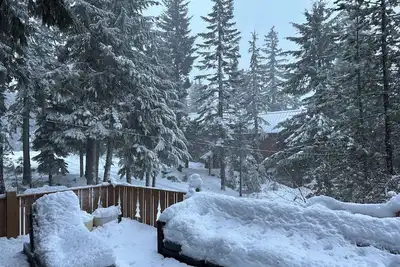Image de Bearcat Lodge - Gov't Camp Retreat @ Timberline