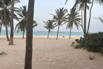 Image de Tropical Princess White Sand