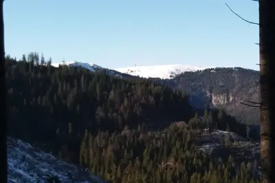 Image de Adlernest. Großzügige Wohnung mit Fernblick Richtung Titisee und Feldberg