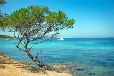 Image de Meublé 3*- Climatisation-Piscine -Parking-Plage-Commerces- Calme