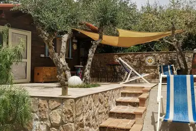 Image de Magnificent cottage surrounded by olive trees and aromatic plants.