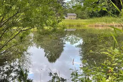 Image de Idyllic retreat with pond, just steps from Port Bay-rare Labor Day availability!