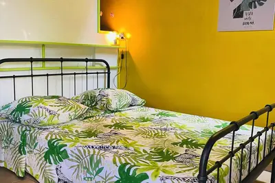 Image de Homerez - Studio Basse Terre, vue jardin
