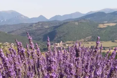 Image de Homerez - Maison à Sainte-Jalle