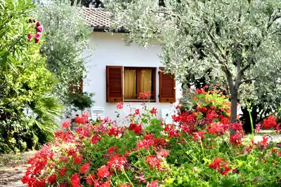 Image de Homerez - Maison charmante à Lacona + Jardin + Terrasse