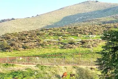 Image de Casa Gilboa - The perfect country getaway.