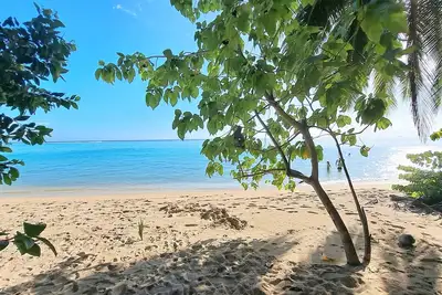 Image de Tahiti - Fare Iolana