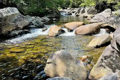 Image de Pet-friendly Rustic Mtn House