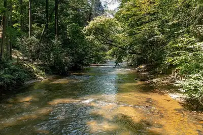 Image de River Rush - Reconnect with Nature, Luxury Amenities, Fishing and Scenic Views