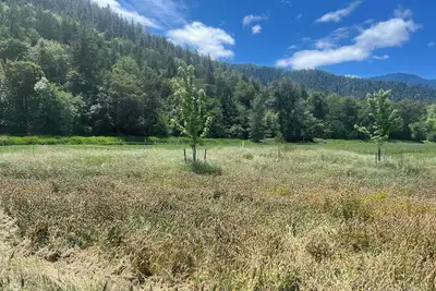Image de Quail Run Mountain View Cottage!