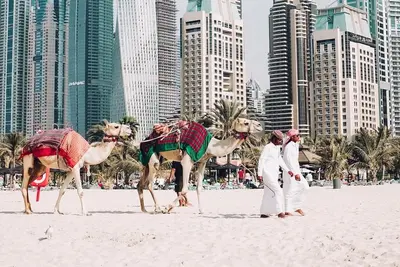 Image de Cozy 3 Bedroom Apartments Near Jbr
